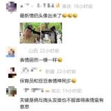 寶寶嘗試投喂白鯨反復(fù)嘗試都丟歪了