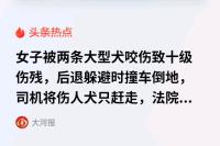 女子被大型犬咬伤致十级伤残 遛狗不拴绳的代价