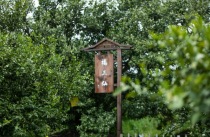 “中华橘源”：黄岩贡橘园 千年橘花香