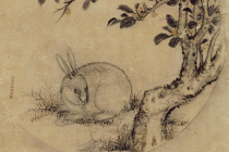 为什么嫦娥抱的是兔子，而不是别的动物？