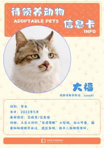 大福-猫-2023年5月