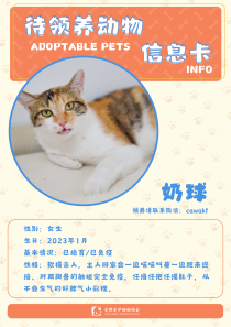 奶球-猫-2023年1月