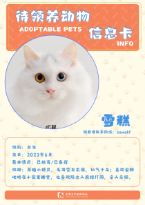 雪糕-猫-2023年6月