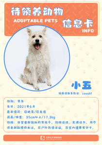 小五-狗-2021年6月