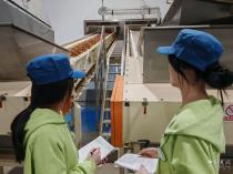 轻工大食品学子用脚步丈量民生温度