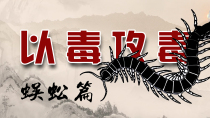性善走窜，搜风定搐，解毒疗疮——蜈蚣