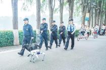 多次助力破获涉毒案件 获授全国功勋犬称号 警犬“启生”是团宠更是缉毒能手