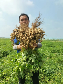 “玛氏影响力基金”启动，以长期投入带来持久影响
