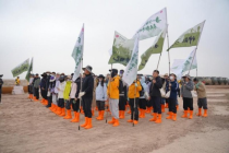 指尖捐积分，大漠添新绿，中国银行公益筑牢民勤生态屏障