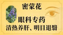 清热养肝,明目退翳——密蒙花
