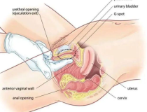 口碑揭晓：重庆私密整形的医院哪家好一点“热点报道”重庆军科整形美容医院私密整形中心受患者专业认可