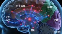 家长认可：西安儿童癫痫专科医院哪家值得信赖？入围名单，西安中际脑病医院上榜