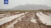 阿富汗強(qiáng)降雨引發(fā)洪水 至少80人死亡 上百人受傷農(nóng)田被毀