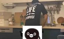 韩娱记曝金秀贤要金赛纶穿透视衣 私照风波引争议