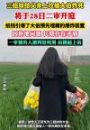 三姐妹给父亲上坟被大伯炸死案二审 家族悲剧牵动人心