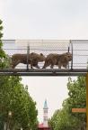 動物園回應(yīng)將獅子放在空中走廊 已調(diào)整安置方案