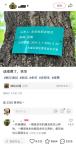 余華回應(yīng)國槐樹事件 文學(xué)友誼引發(fā)熱議