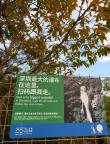 景區(qū)回應(yīng)深圳最大瀑布質(zhì)疑 水量雨季最大