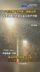 廣東近期大水蟻成群出現(xiàn) 雨后悶熱傍晚頻現(xiàn)