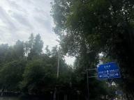 成都多地深夜惊现神秘“哒哒”声 夜鹰唱情歌扰民