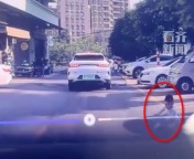 孩子骑车突然出现幸好司机反应快 网友：看视频我都没反应过来竟然刹住了
