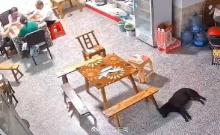 當?shù)鼗貞?yīng)4人打牌被輪胎砸中 事故已妥善處理