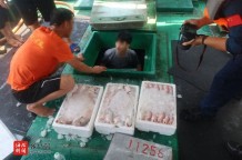 海南查扣涉嫌非法捕撈船舶 伏季休漁專項執(zhí)法行動持續(xù)加強