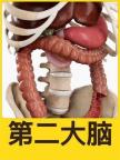 為什么說腸道是人體的第二個(gè)大腦