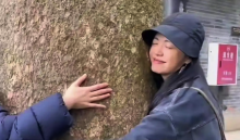 抱樹放松有科學(xué)依據(jù)嗎,？因工作受挫女子每月花780元抱樹放松