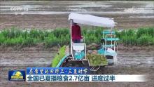 全國夏播糧食2.7億畝 進度過半 播種進度快于常年