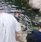男孩野泳溺水沉底近半小时身亡 好心人施救未果