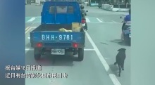 臺(tái)灣一司機(jī)用貨車拴繩遛狗 網(wǎng)友怒了：建議不要養(yǎng)狗