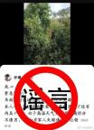 網(wǎng)民編造果樹下現(xiàn)2尸體被罰 虛假信息受懲處