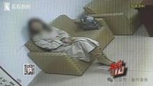 00后女子在滬倆月食宿全白嫖 “薅羊毛”高手落網(wǎng)