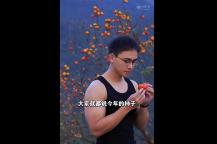 绍兴95后“最帅村干部”走红全网 柿子热销带动乡村出圈