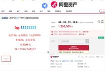 “1**11111111”手机号120万元起拍 顶级靓号待主
