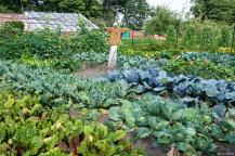 男子挨打杀两人案不符合正当防卫 暴力悲剧警示社会