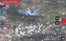 一头猪突然冲出引爆地雷救下两名俄军士兵 意外英雄出现