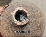 居民废弃酒瓶中砸出过冬眼镜蛇 人蛇惊险偶遇引发热议