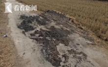 氣味刺鼻隱患多 露天焚燒垃圾何時休？