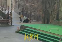 动物园黑熊扑倒驯养员 表演永久停止、驯养员停职转岗！