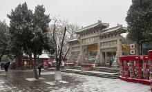 濟南九大公園同步換“銀裝” 雪景如畫冬日浪漫