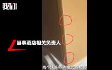 宠物友好酒店 提灯定损 退房争议引发关注
