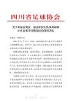 飞踹裁判！20岁川超球员已被公安机关行政处罚 最高拘留10天以下 全省禁赛5年