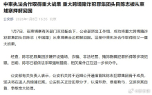 陈志被押解回国 画面公布 中柬执法合作重大成果