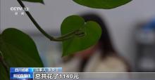 央视揭女性兼职骗局 串珠代加工陷阱