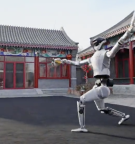 起猛了机器人舞剑拜年了！