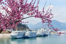 跑步入春！全国入春进程图出炉 南方多地提前入春