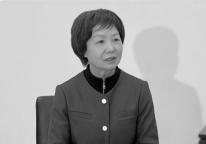 委员建议建立全国统一换电标准 推动补能体系完善