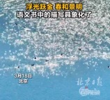 语文书中的描写在北京西海具象化了